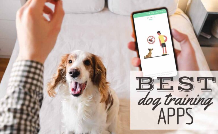 Best Apps to Train Your Dog in 2025