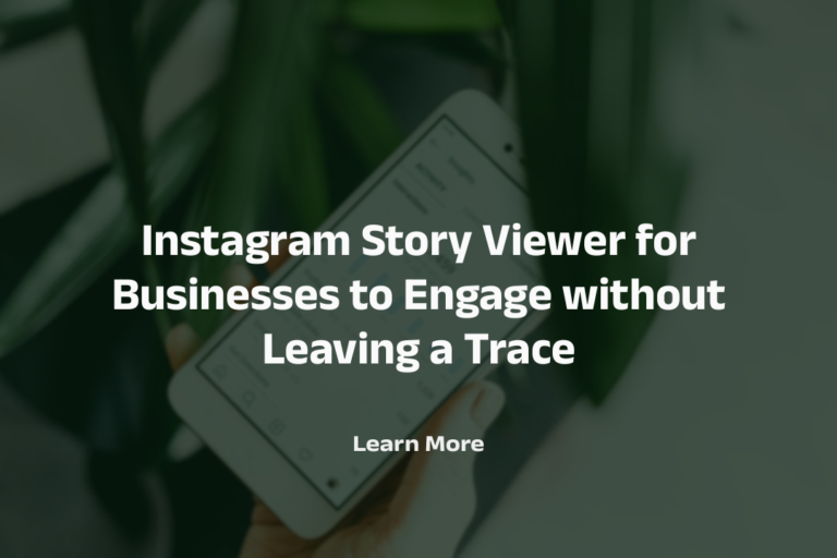 How Instagram Story Viewers Maintain Your Privacy  Browsing Profiles?