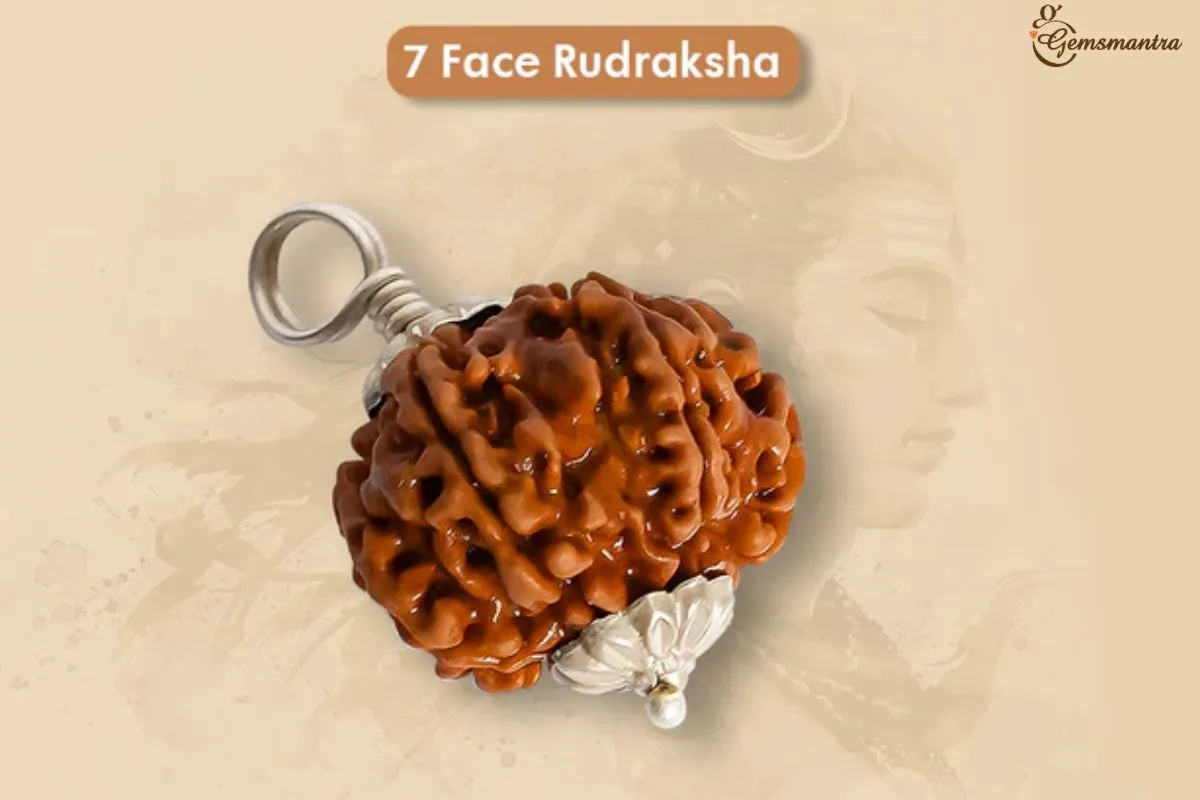 7 Mukhi Rudraksha: Meaning, Benefits, and How to Wear It for Best Results