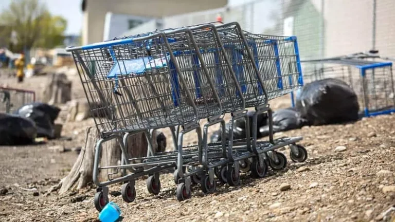 Broken Carts? Here’s How Fast, Reliable Shopping Cart Repair Can Help