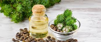 9 Astounding Uses Of Castor Oil In Ayurveda