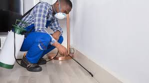 How Much Does Pest Control Cost