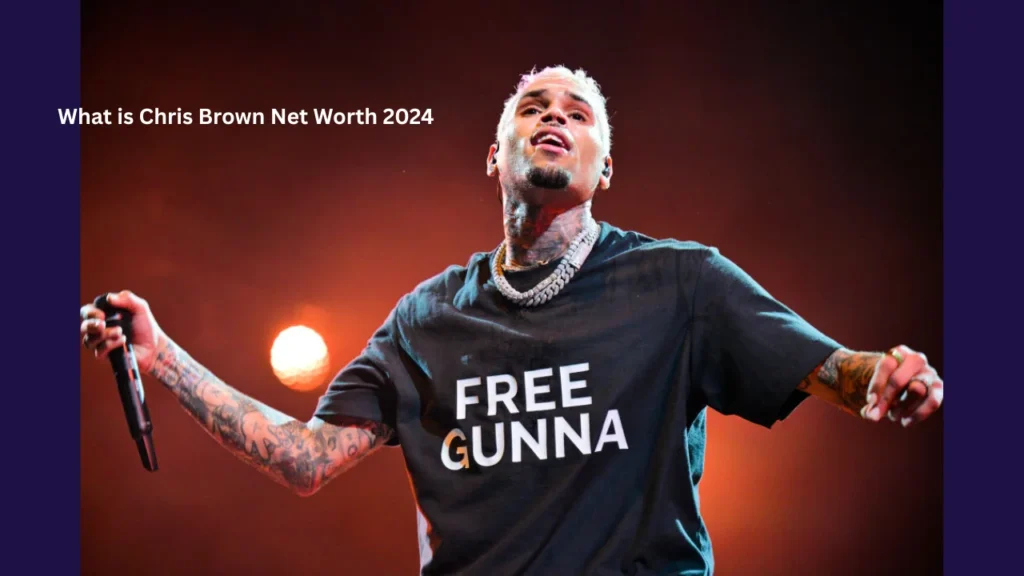 What is Chris Brown Net Worth 2024